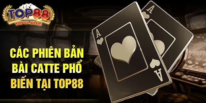 Các phiên bản bài Catte phổ biến tại Top88